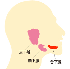舌下腺へのボトックス注射