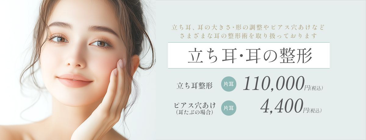 立ち耳・耳の整形