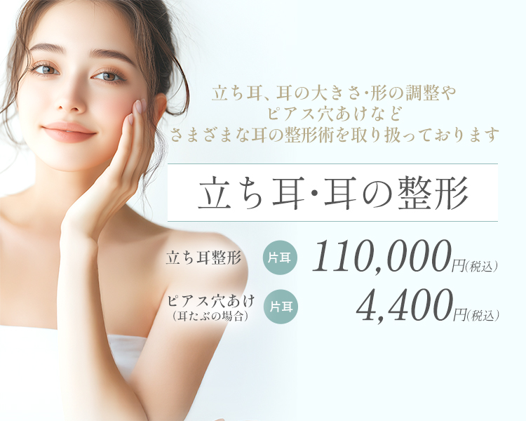 立ち耳・耳の整形