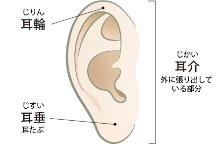耳輪形成術とは
