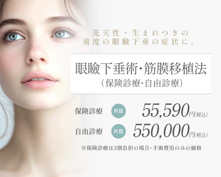 眼瞼下垂症手術・筋膜移植術（保険診療or自由診療）