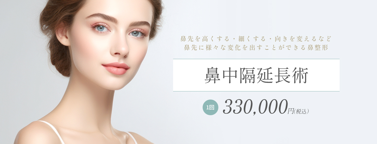 鼻中隔延長術