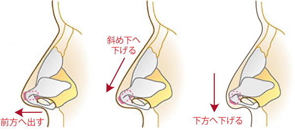 前・斜め下・下方向のいずれかに鼻先を伸ばすことが可能
