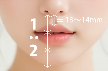 人中の理想的なバランス