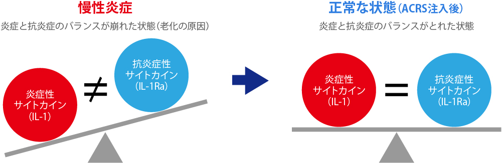 組織修復における免疫バランスの重要性