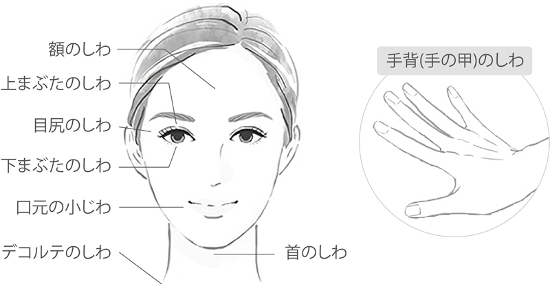 プルリアルデンシファイで改善できるしわ・たるみ