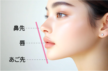 Eラインとは？Eライン美人が美しいと言われる理由