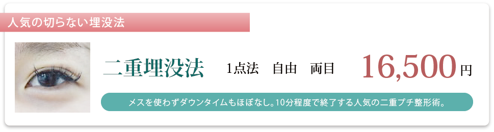 二重埋没法