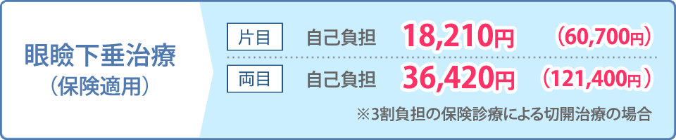 眼瞼下垂治療料金